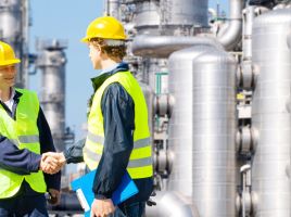 Petrochemical sector